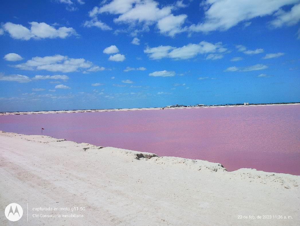 Tour a las Coloradas, Mayaab Travel