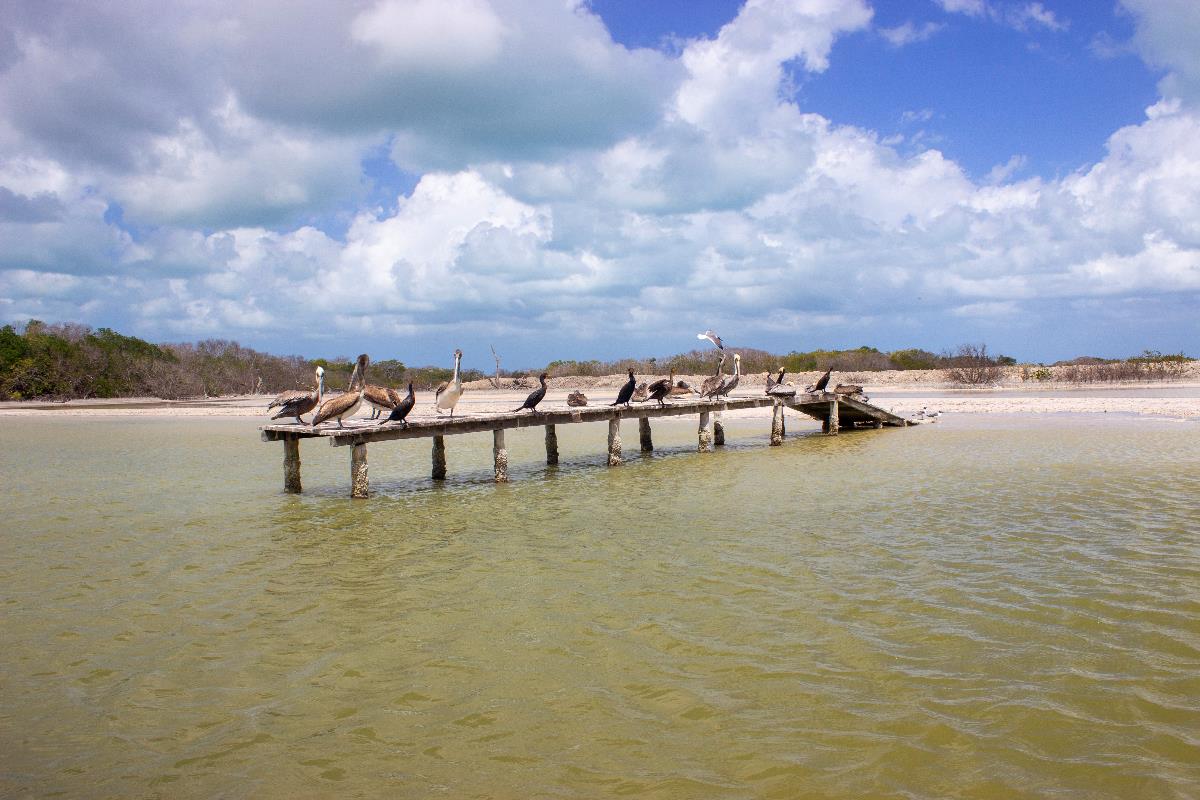 Tour a las Coloradas, Mayaab Travel