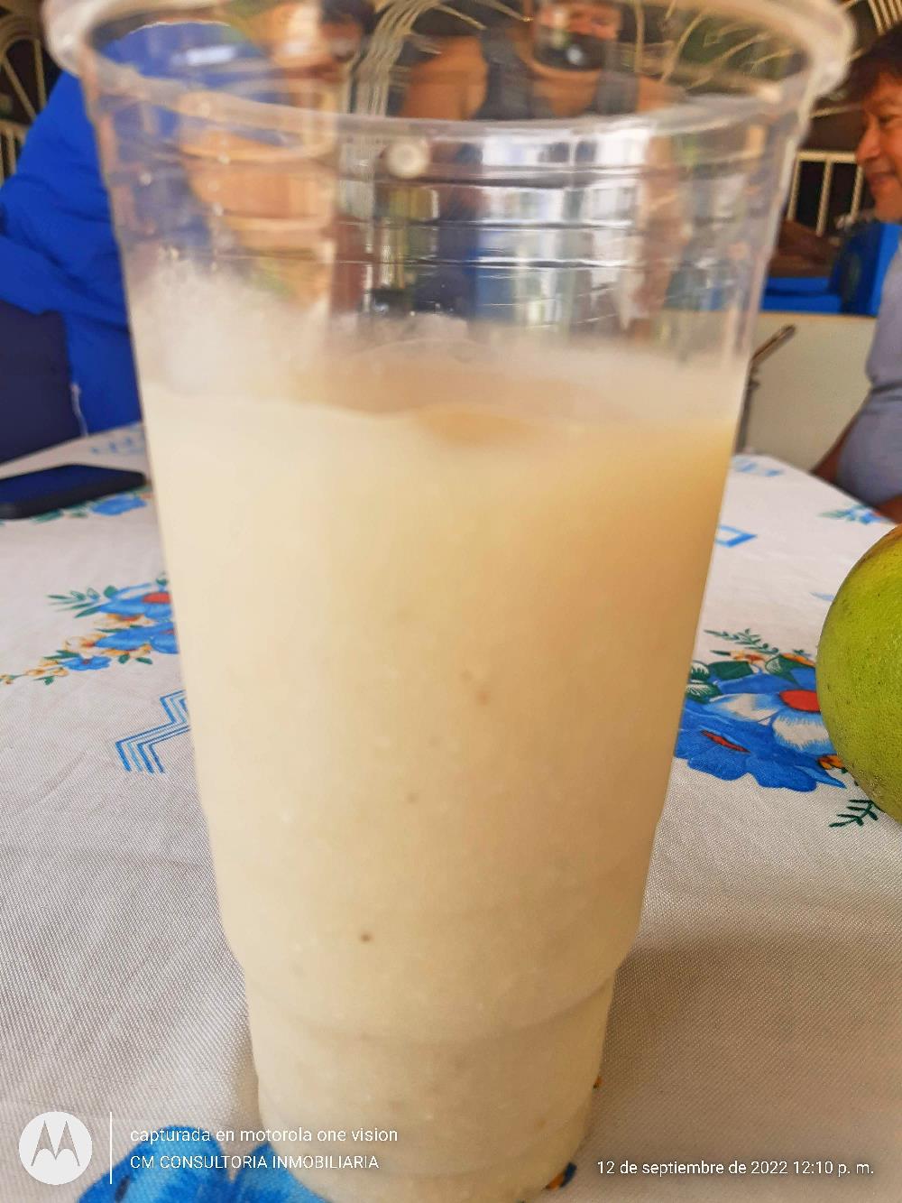 Tour Meliponario y Cenote